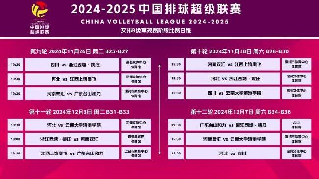 免费获取2025新奥正版资料与精准资料的下载指南